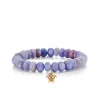 Gold & Amethyst Turtle on Hackmanite