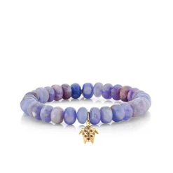 Gold & Amethyst Turtle on Hackmanite