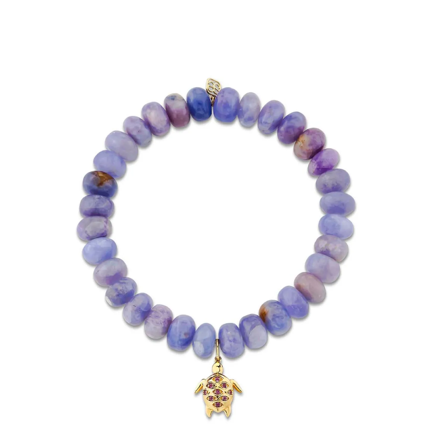 Gold & Amethyst Turtle on Hackmanite