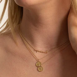 Gold & Diamond Aquarius Zodiac Medallion