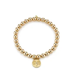 Gold & Diamond Aries Zodiac Medallion on 14k Yellow Gold