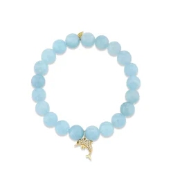Gold & Diamond Dolphin Charm on Aquamarine