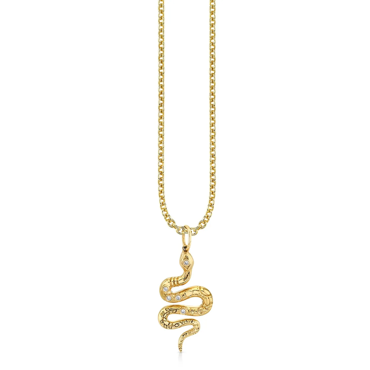 Gold & Diamond Etched Snake Charm