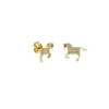 Gold & Diamond Horse Stud