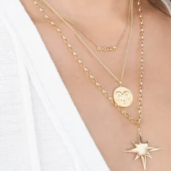Gold & Diamond Large Capricorn Zodiac Medallion
