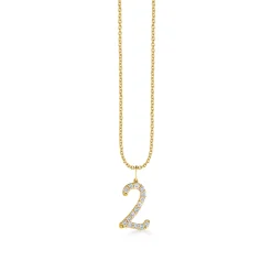 Gold & Diamond Large Number Charm