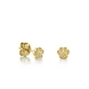 Gold & Diamond Mini Paw Stud