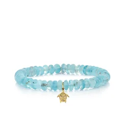 Gold & Diamond Small Turtle on Aquamarine
