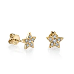 Gold & Diamond Star Stud