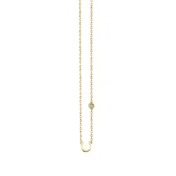 Gold Plated Sterling Silver Horseshoe Necklace with Bezel Set Diamond