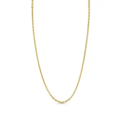 14k Gold Knife Edge Chain