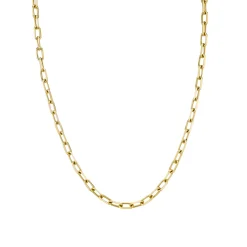 14k Gold Long Cable Chain