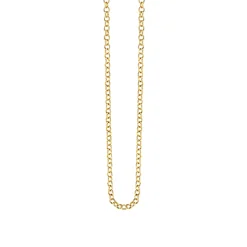 14k Gold Small Rolo Chain